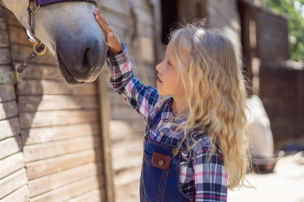 Side View Child Touching White Horse Farm — стоковое фото