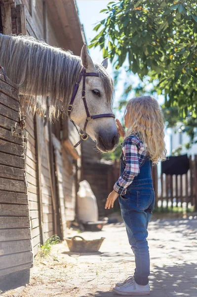 Side View Kid Touching White Horse Ranch — стоковое фото