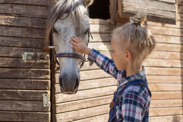 Kid Palming White Horse Farm — стоковое фото