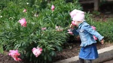 Child girl sniffs the aroma of peony flowers and sneezes. Childrens allergies — стоковое видео