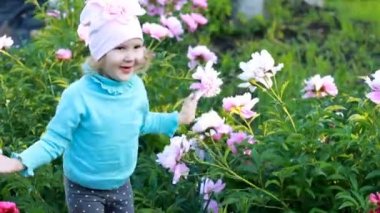 Child girl is playing in the garden with peonies. Happy baby covers his face with his hands and hides in peony. — стоковое видео