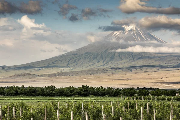 Гора Арарат Ландшафт Армении — стоковое фото