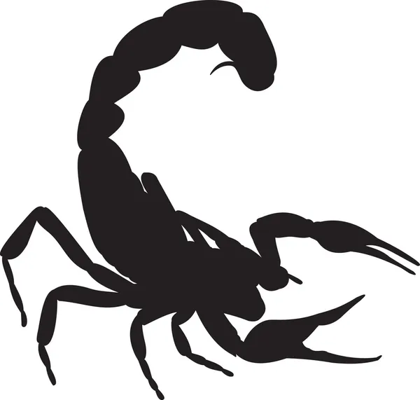 Вектор скорпиона — стоковый вектор