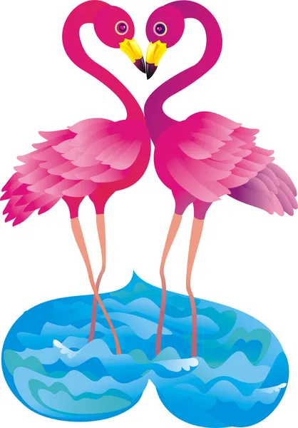 Фламинго любовью — стоковое фото
