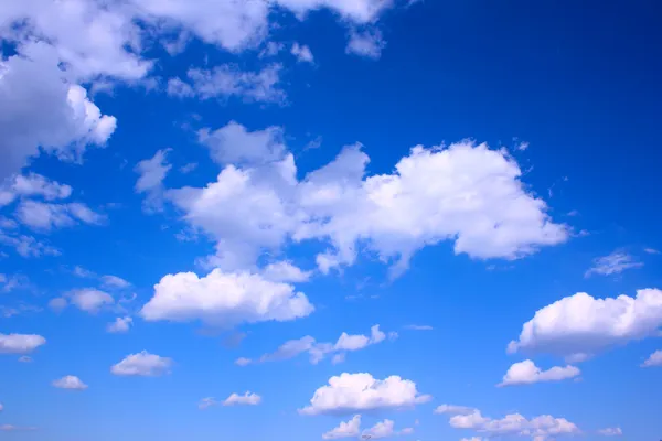 Олень синее небо и облака — стоковое фото