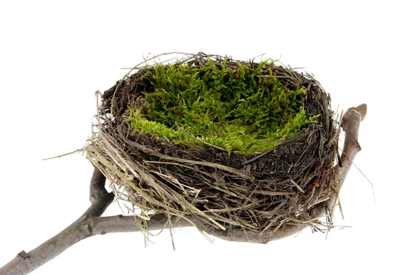 Пасхальное гнездо — стоковое фото