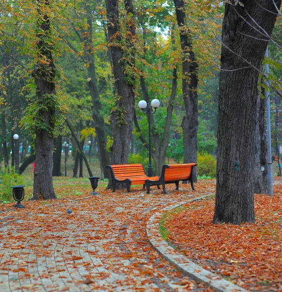 Скамейки в городском парке — стоковое фото