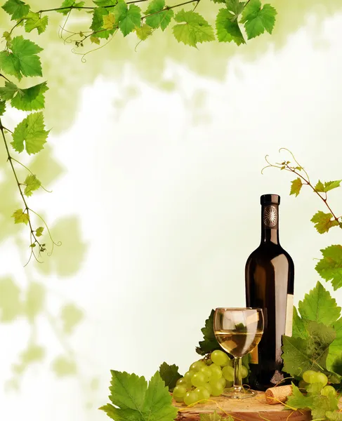 Вино и дизайн виноградной лозы — стоковое фото
