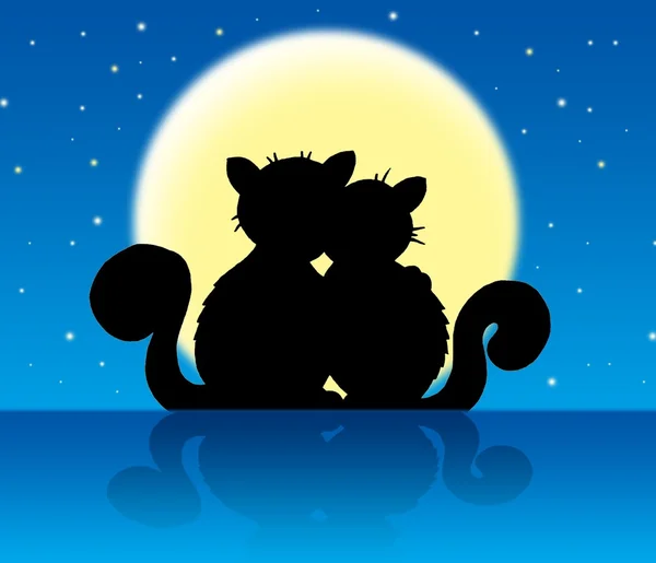 Две кошки, в лунном свете — стоковое фото