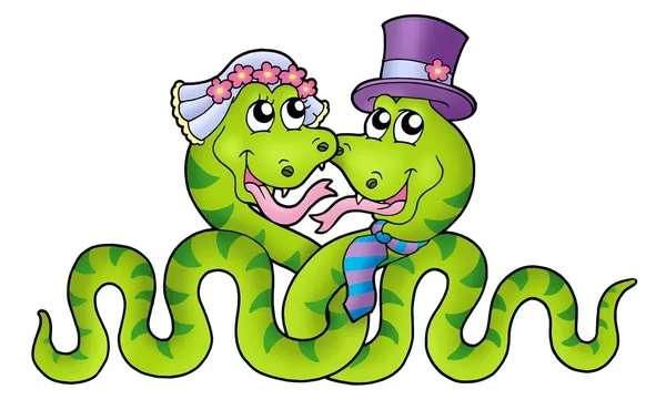Свадьба с мило змеи — стоковое фото