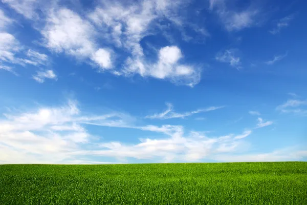 Поле на фоне голубого неба — стоковое фото