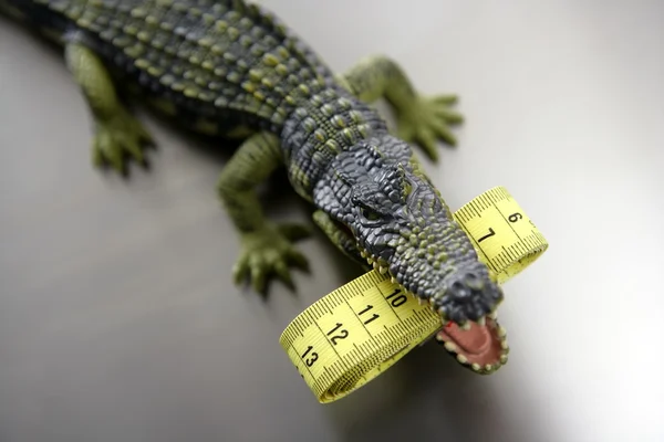 Игрушка cocodrile, Аллигатор с сантиметр ленты мера в его челюсти — стоковое фото