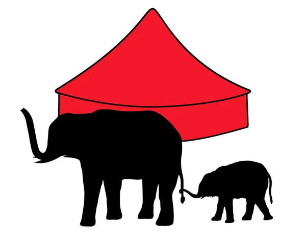 Слонов в цирке — стоковое фото