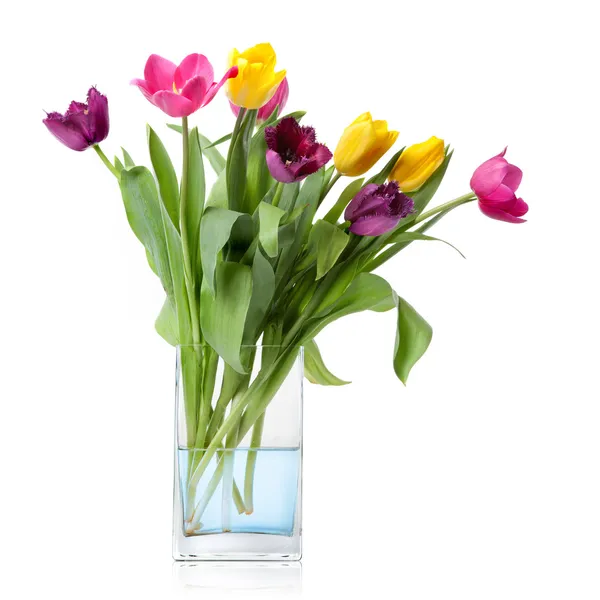 Букет из тюльпанов в стеклянной вазе, изолированные на белом фоне — стоковое фото