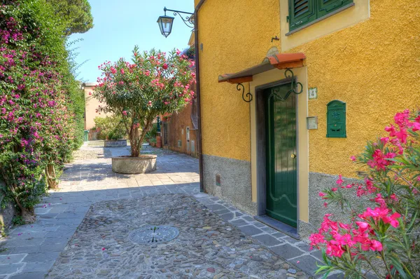 Маленький дворик в Портофино, Италия — стоковое фото