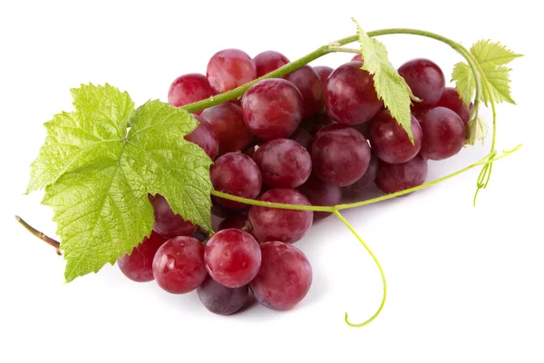 Красный виноград с свежими листьями — стоковое фото