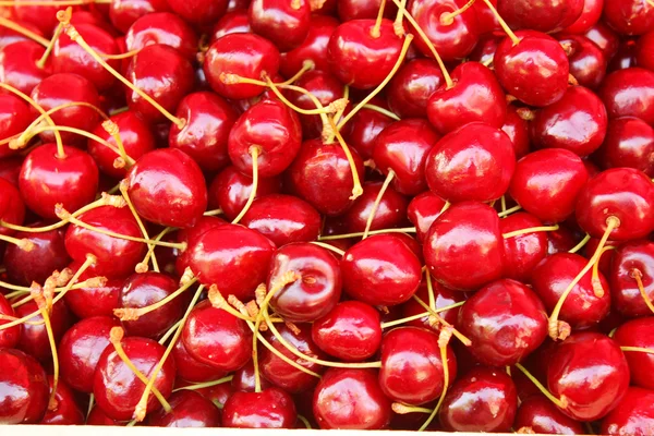 Зрелые красные вишни — стоковое фото