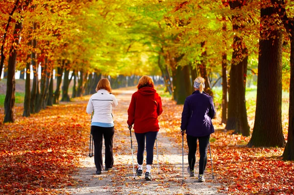 Три женщины в парке - Скандинавская ходьба — стоковое фото