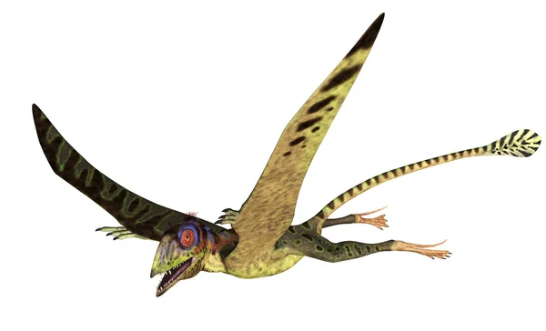 Полет Петейнозавр — стоковое фото
