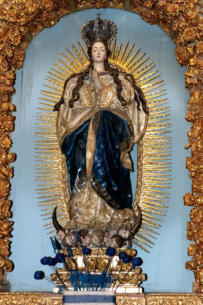 Образ Девы Марии молиться — стоковое фото