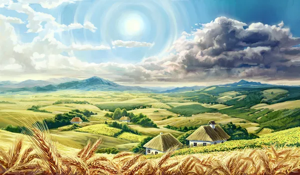 Летний пейзаж с пшеницей — стоковое фото