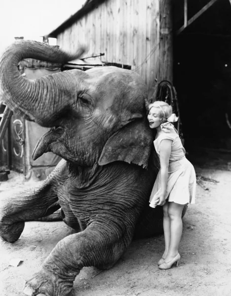 Профиль молодой женщины, обнимая слона — стоковое фото