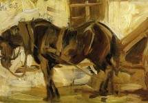 Small Horse Study 1905