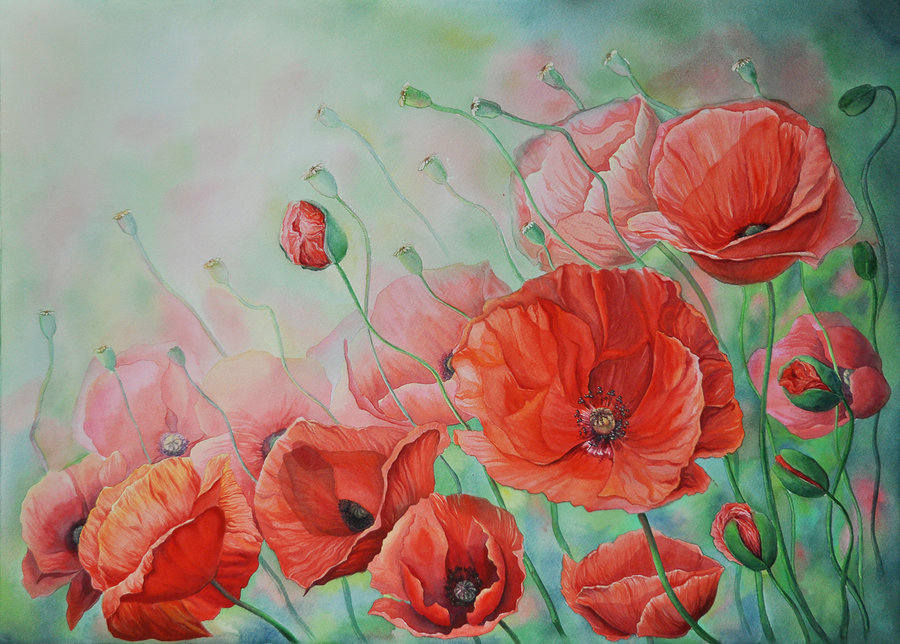 poppies_by_ganusia-d5l9ep5