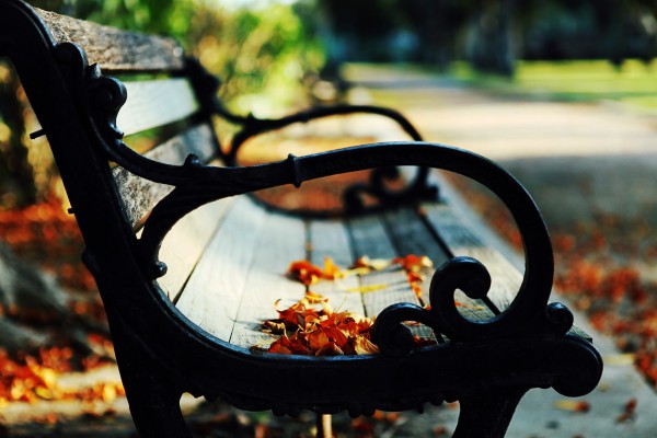 Осенний лист на скамье