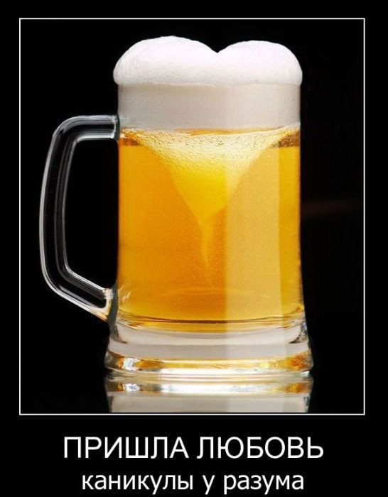 beer-demotivator-65