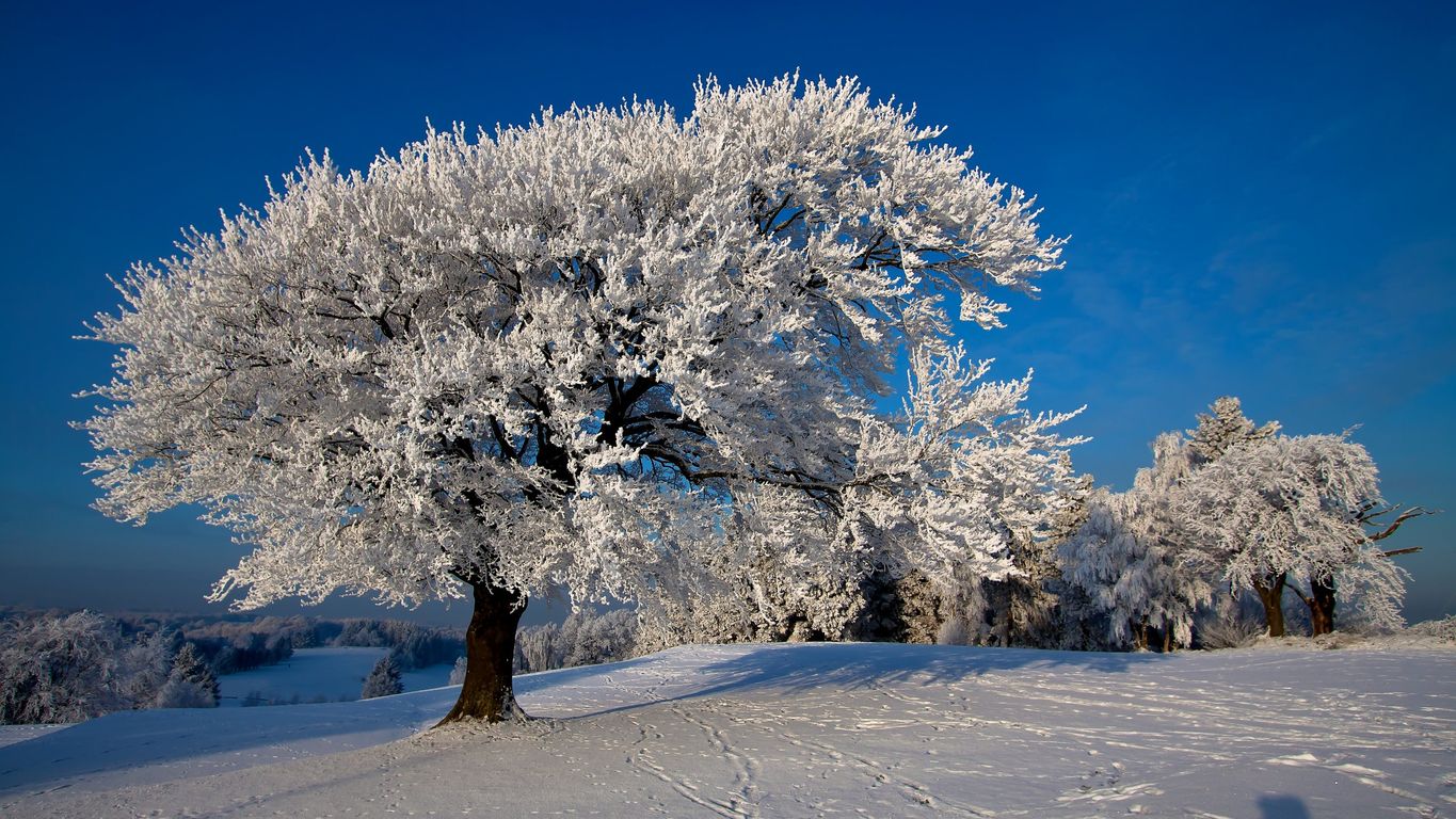 winter-images-1366x768-18