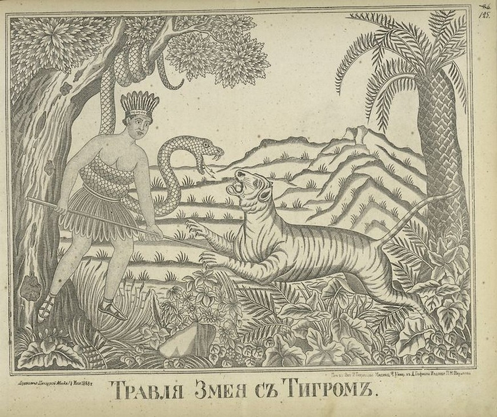 Travlia zmeia s tigrom 1868