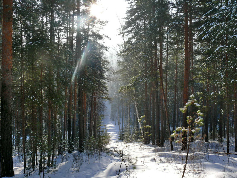 Красивые фото нашей родины природа, россия