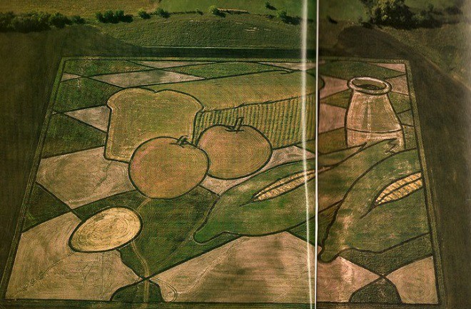 Рисунки на полях от американского художника Стэна Херда агроживопись картины Стэн Херст Earthworks, факты