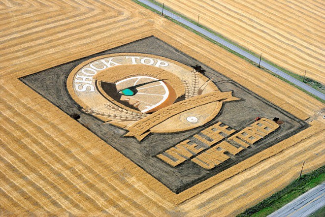 Рисунки на полях от американского художника Стэна Херда агроживопись картины Стэн Херст Earthworks, факты