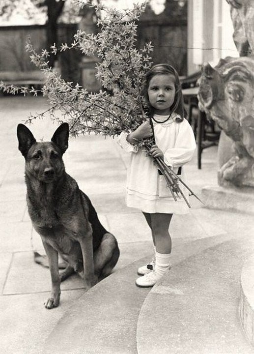 Хельга Геббельс c собакой Адольфа Гитлера история, смотреть, фото
