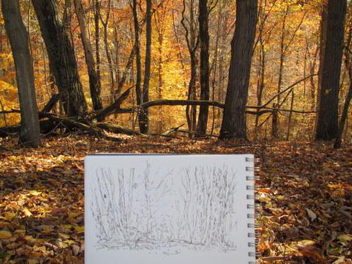 Золотая осень как нарисовать