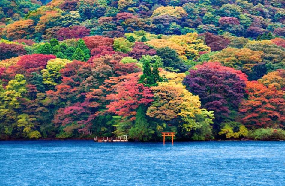 the-stunning-beauty-of-autumn-in-different-parts-of-the-world-10
