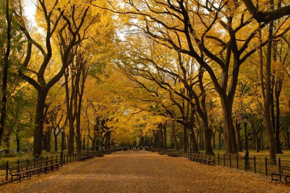 the-stunning-beauty-of-autumn-in-different-parts-of-the-world-12
