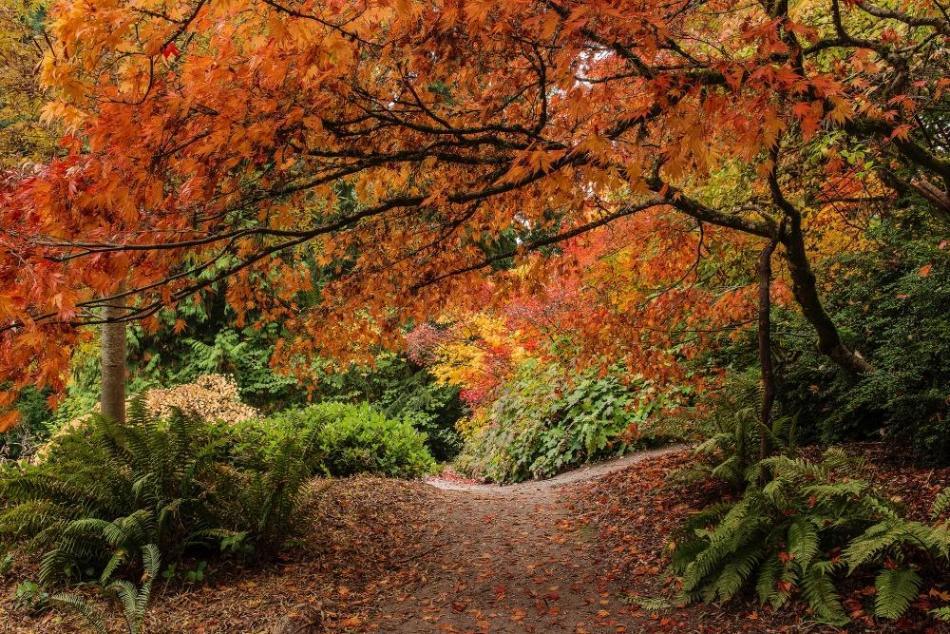 the-stunning-beauty-of-autumn-in-different-parts-of-the-world-16