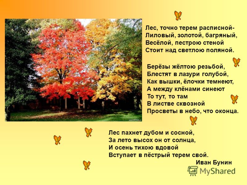 Стихотворение бунина осень. Листопад Бунина. Картина Бунина листопад.