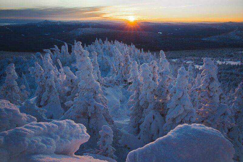 Зимняя тайга (фото)