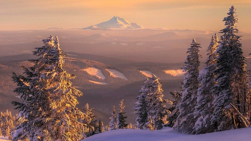 Зимняя тайга (фото)