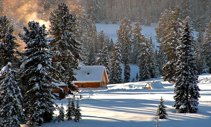 Зимняя тайга (фото)