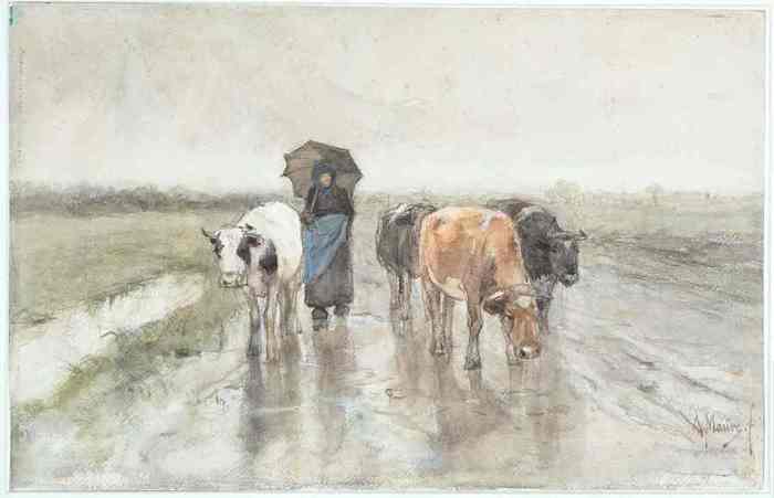 11 Koeien en een herderin op een landweg in de regen (700x451, 17Kb)