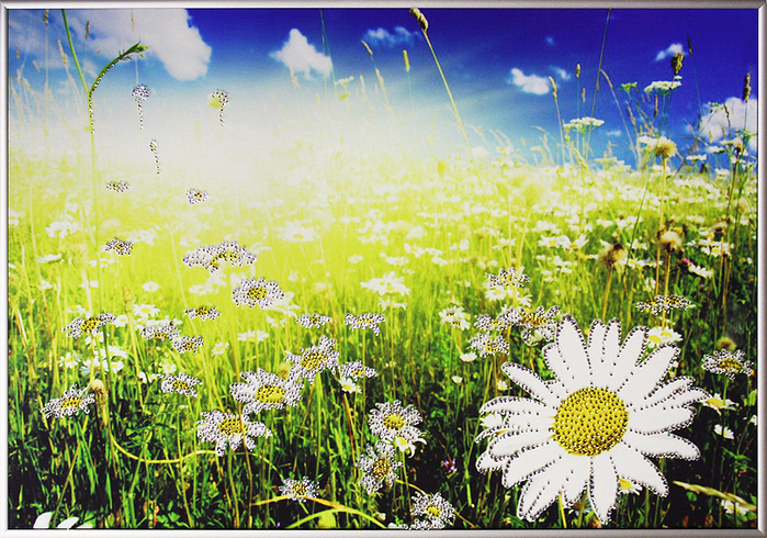 3035399_image_558 (700x490, 585Kb)