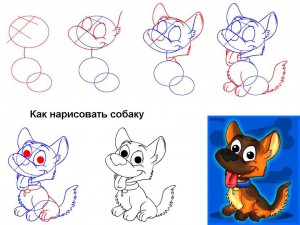 Как нарисовать сидящую собаку 
