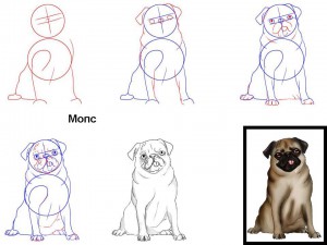 Как нарисовать собаку Мопс
