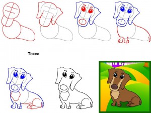 Как нарисовать собаку Такса