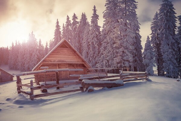 Зимние деревянные дома под снегом